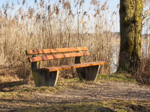 Bank in der Natur - Quelle HMC