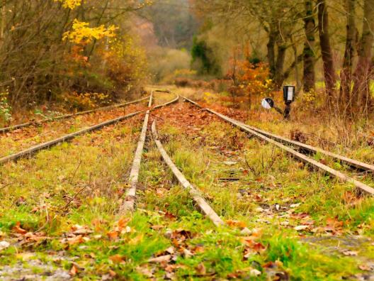 rails-5826657_by_music4life_pixabay_pbs