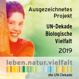 2019reg_UN-Dekade_Logo-280x280px