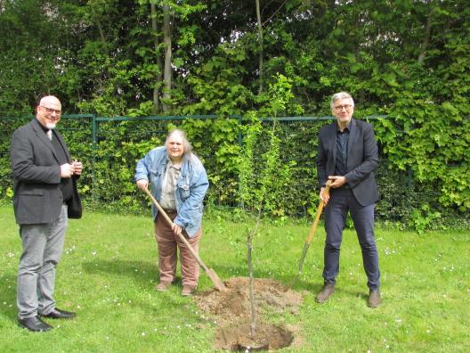 Mit Pfarrer Michael Datené (l.) und dem Geschäftsführer des Hauses St. Josef, Robert Wagner, pflanzt Hermine Schneider den Pflaumenbaum.