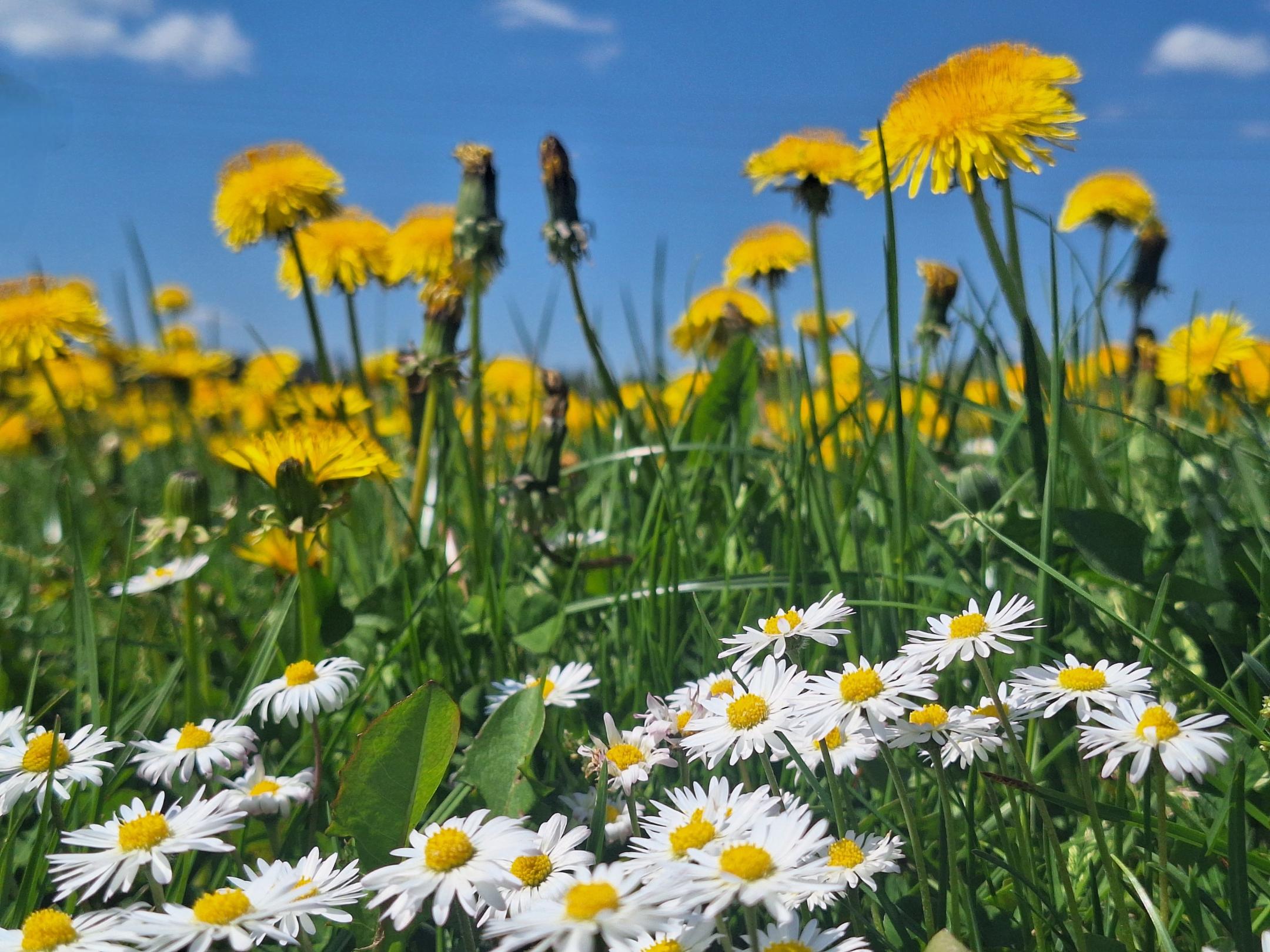 20250501_193601_by_Barbara_Schartz_pfarrbriefservice