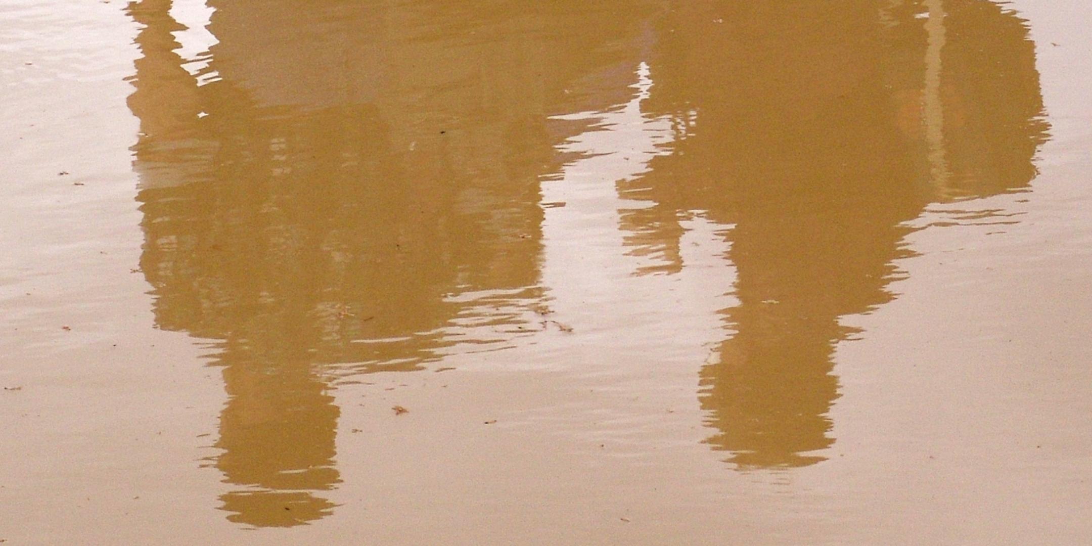 Reflektion in Pfütze