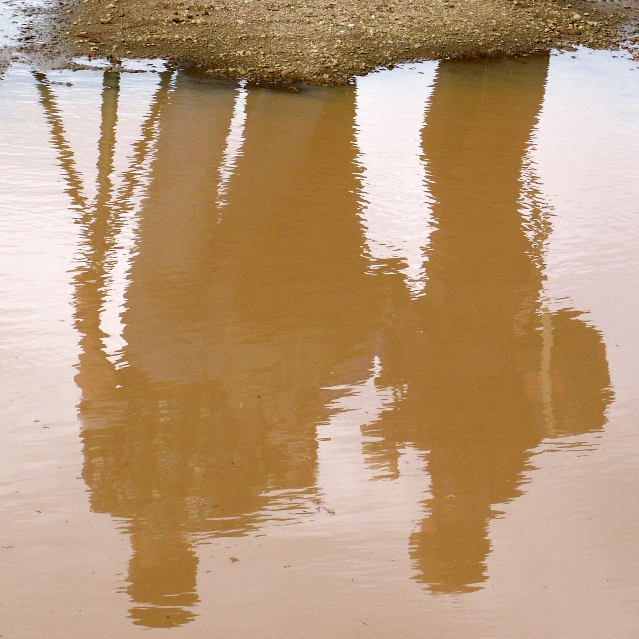 Reflektion in Pfütze