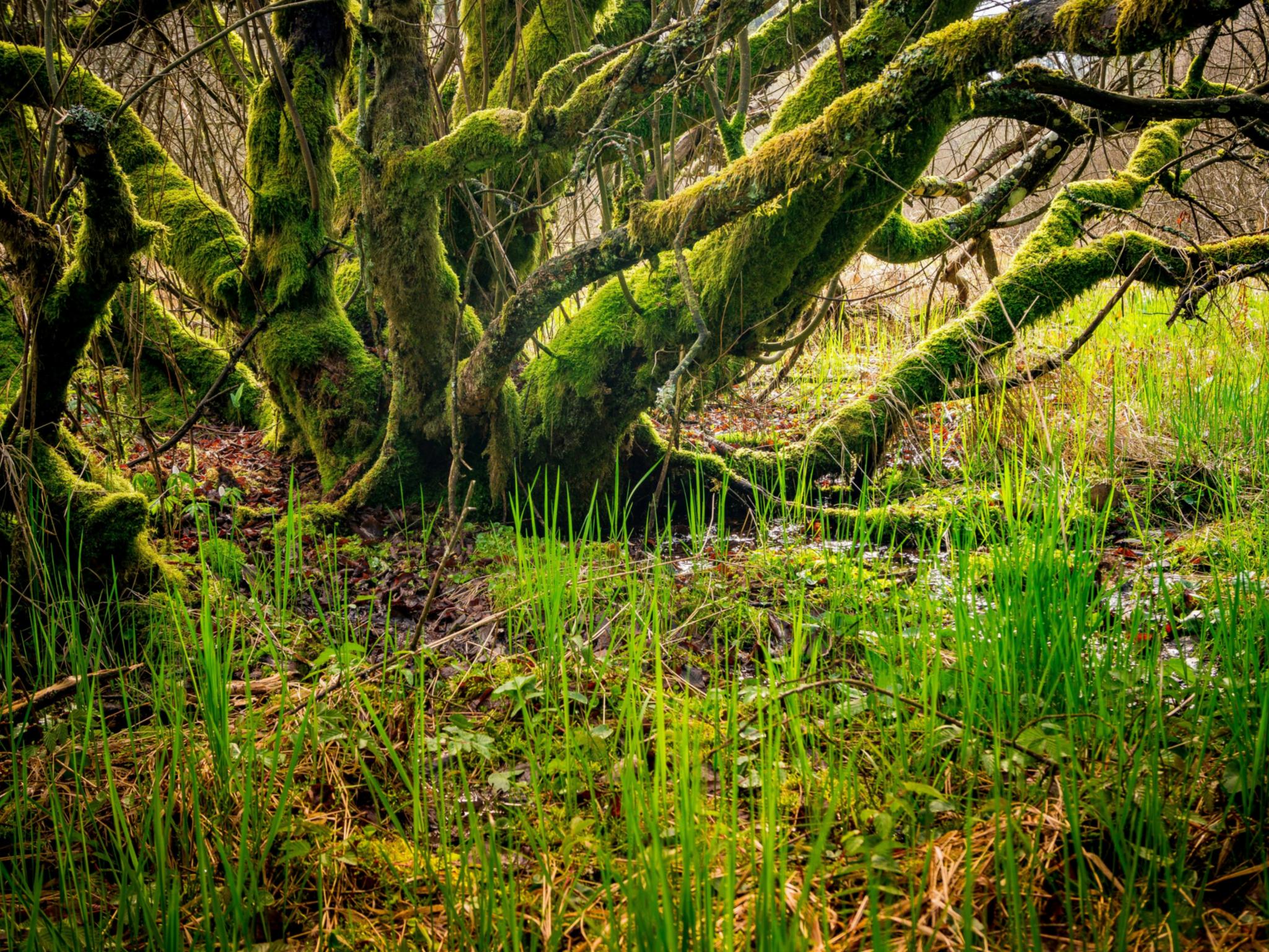 Der Schöpfung auf der Spur - den Schöpfungspfad gemeinsam erleben