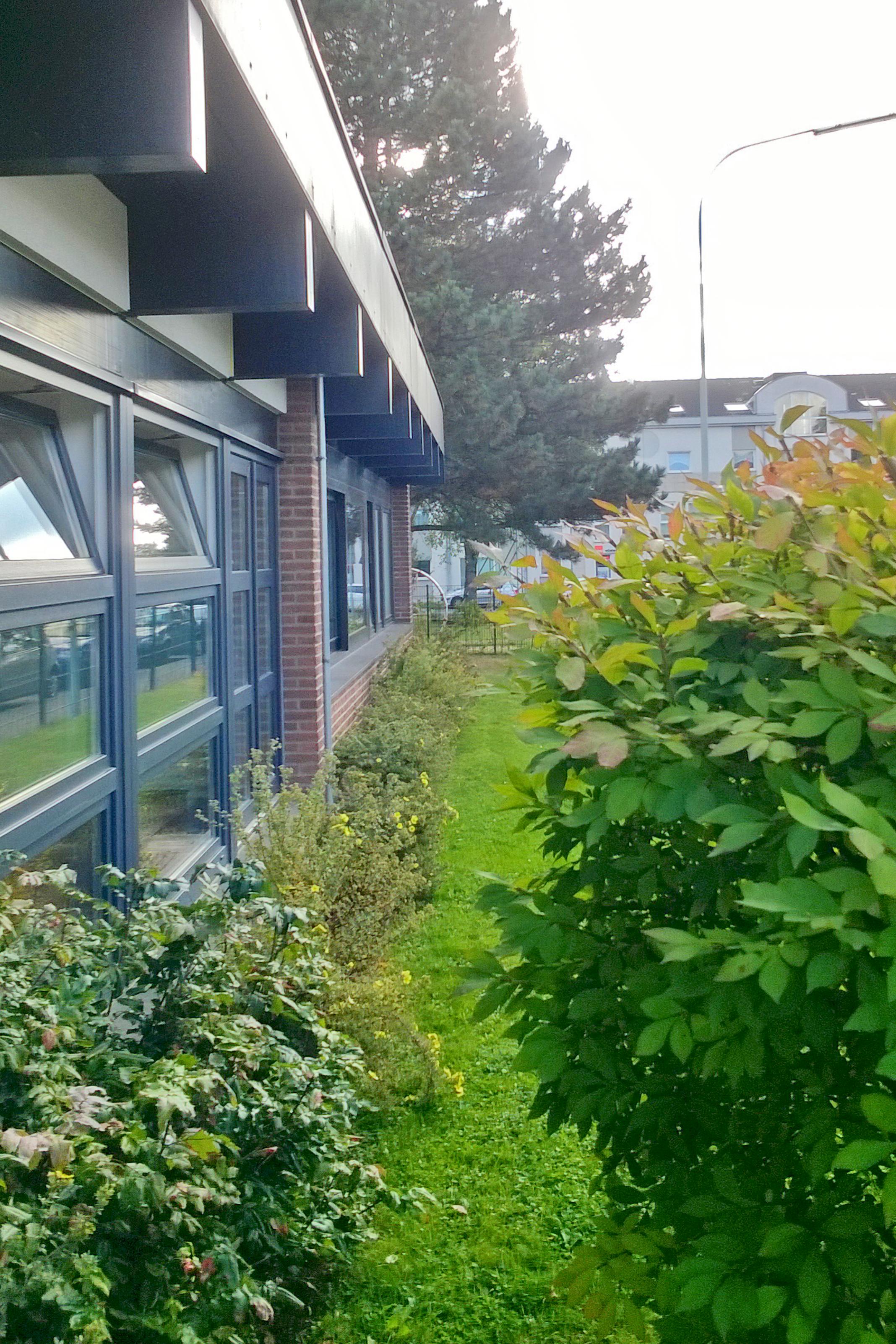 Familienzentrum St. Peter und Paul