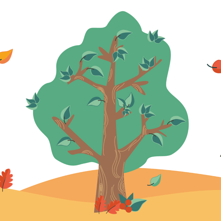 Baum-Board.png_52918730