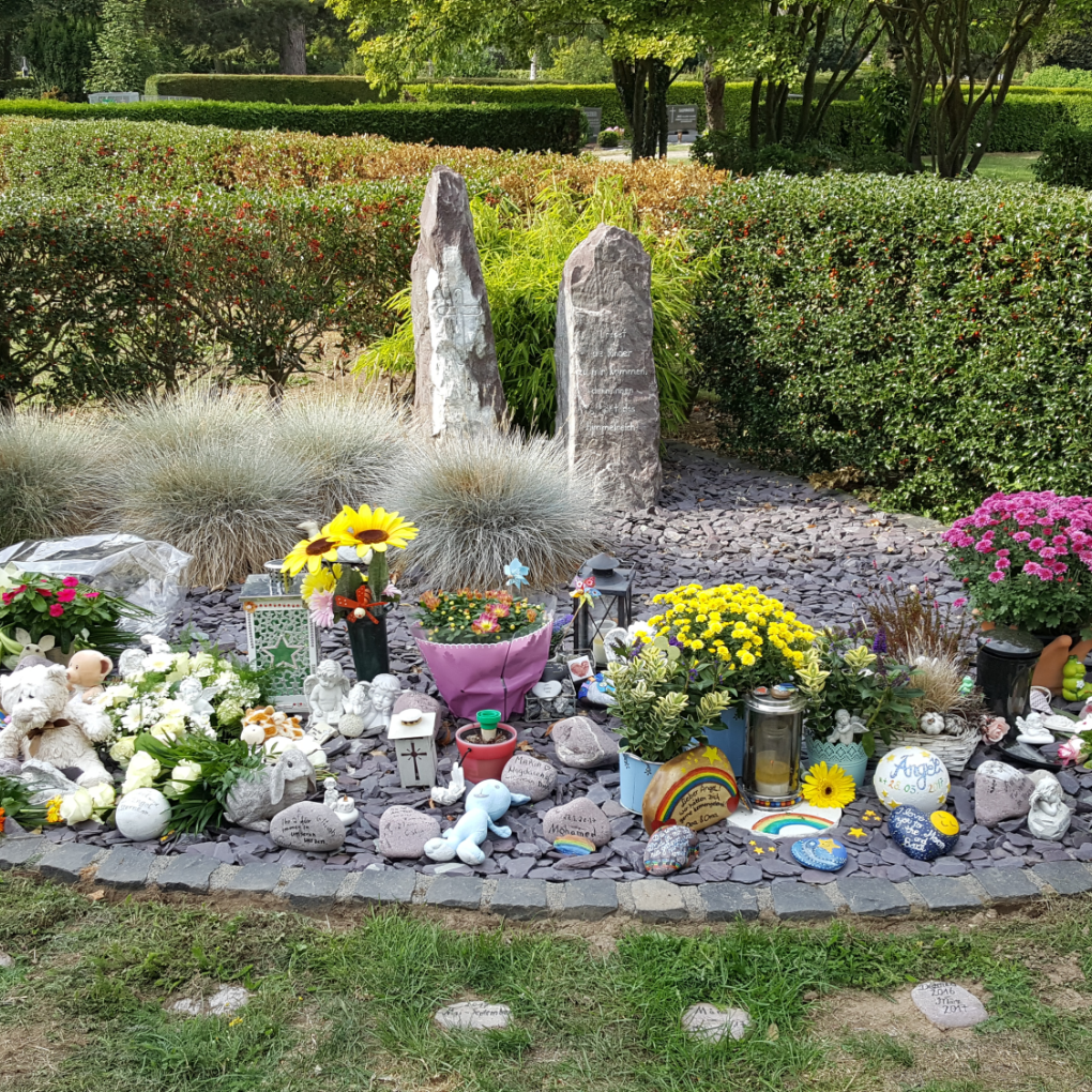 Fruehchenfeld 31.08.2018 (c) Gudrun Lausberg