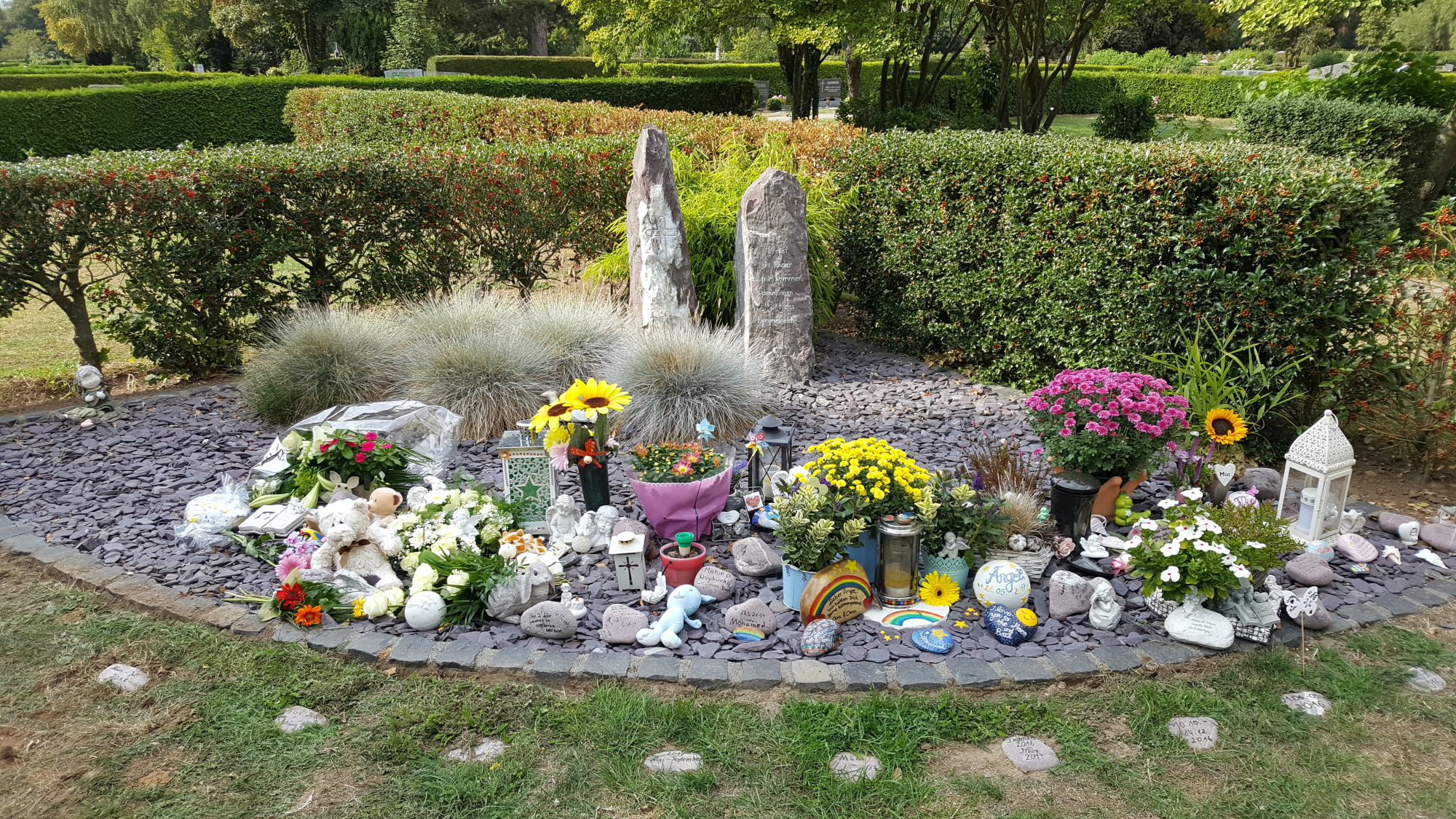 Frühchenfeld 31.08.2018