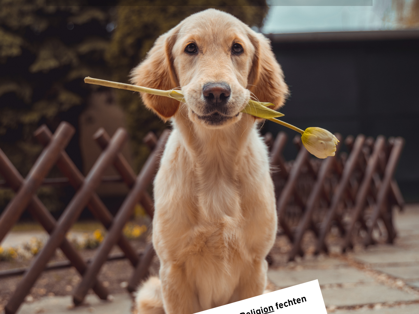 'Gehorsam.' (c) Tobias Kölling / Sdf Rahbar / Unsplash 'Gehorsam.'