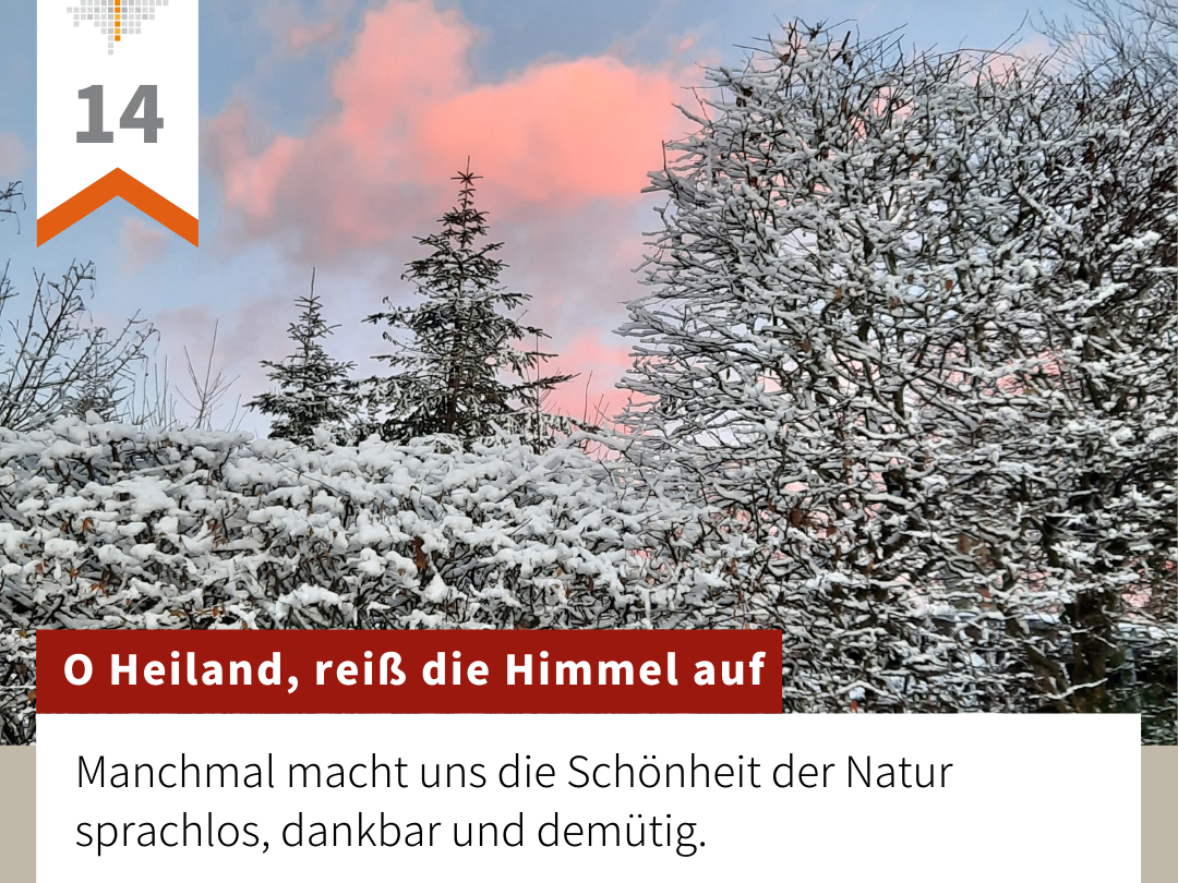 Tür 14 Adventskalender