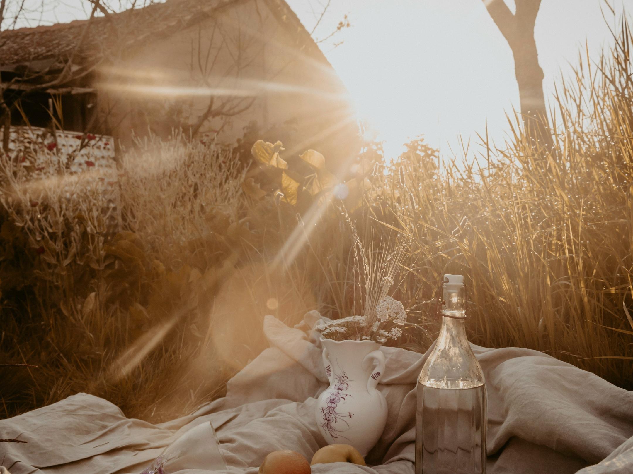 Picknick