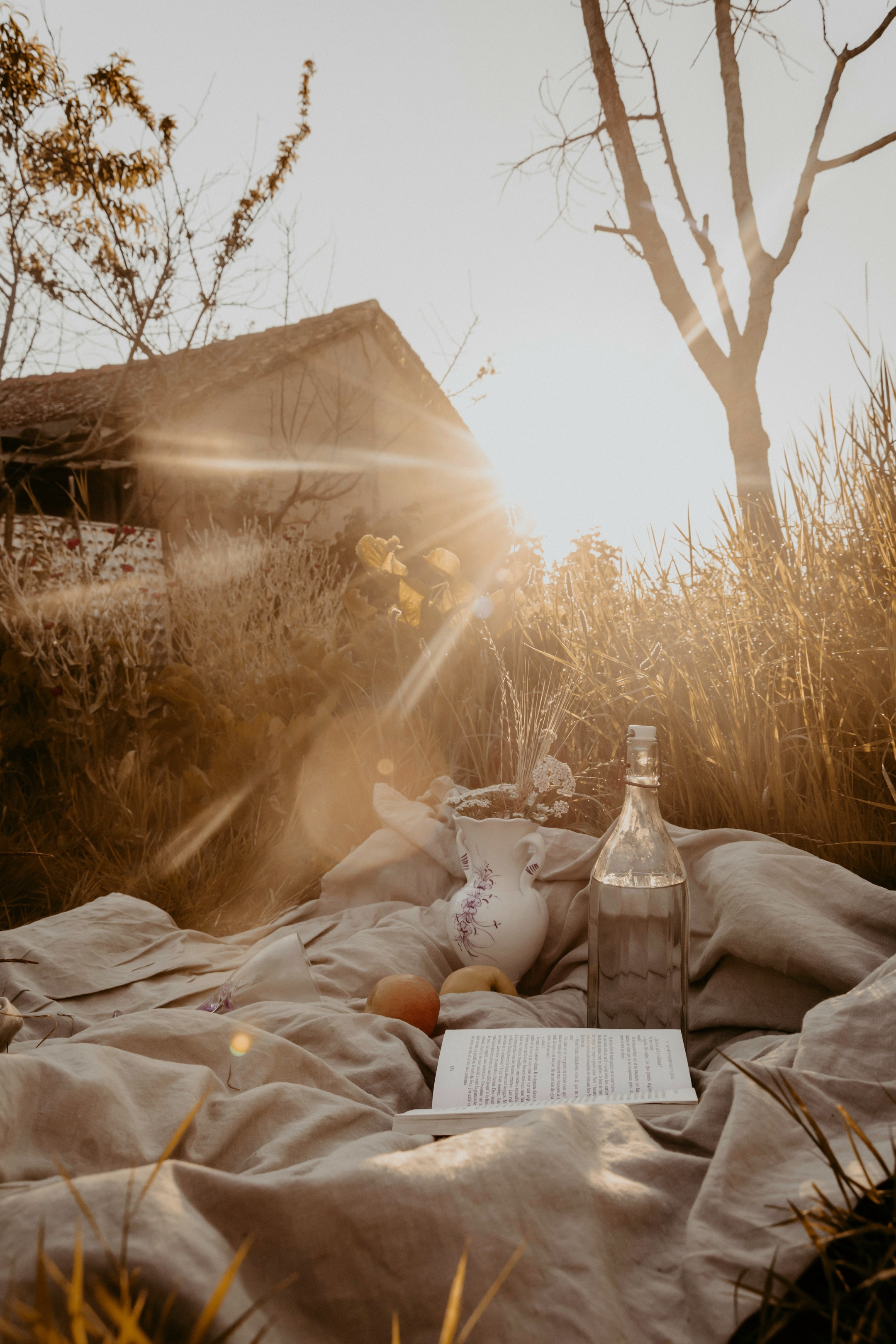 Picknick