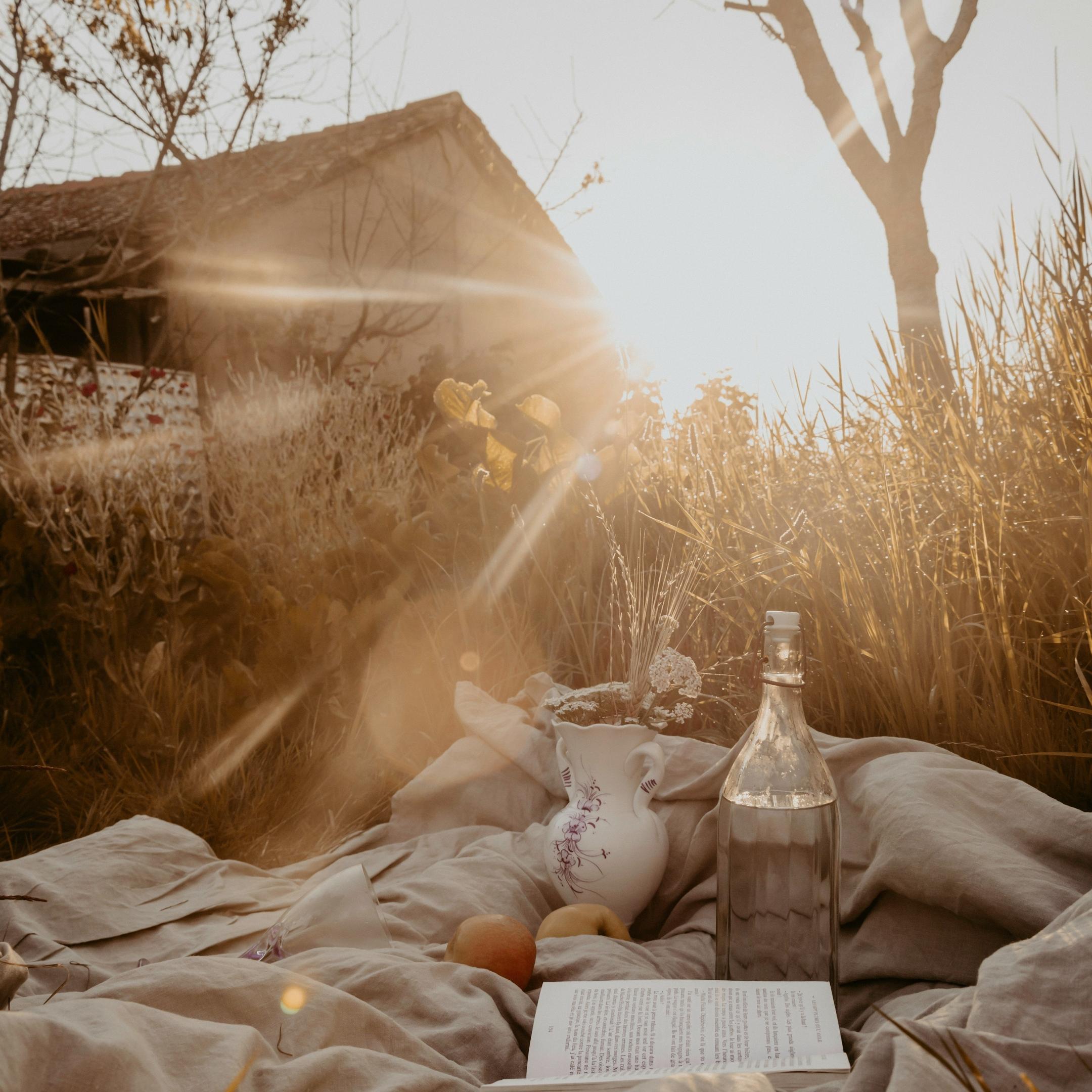 Picknick