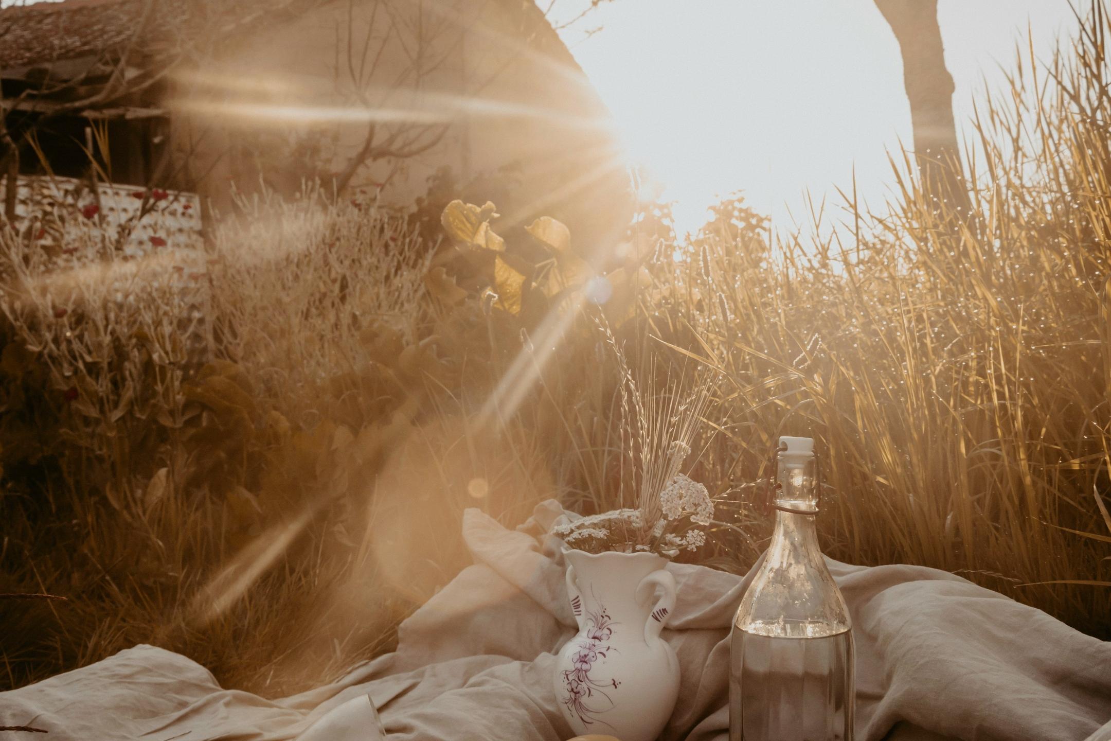 Picknick