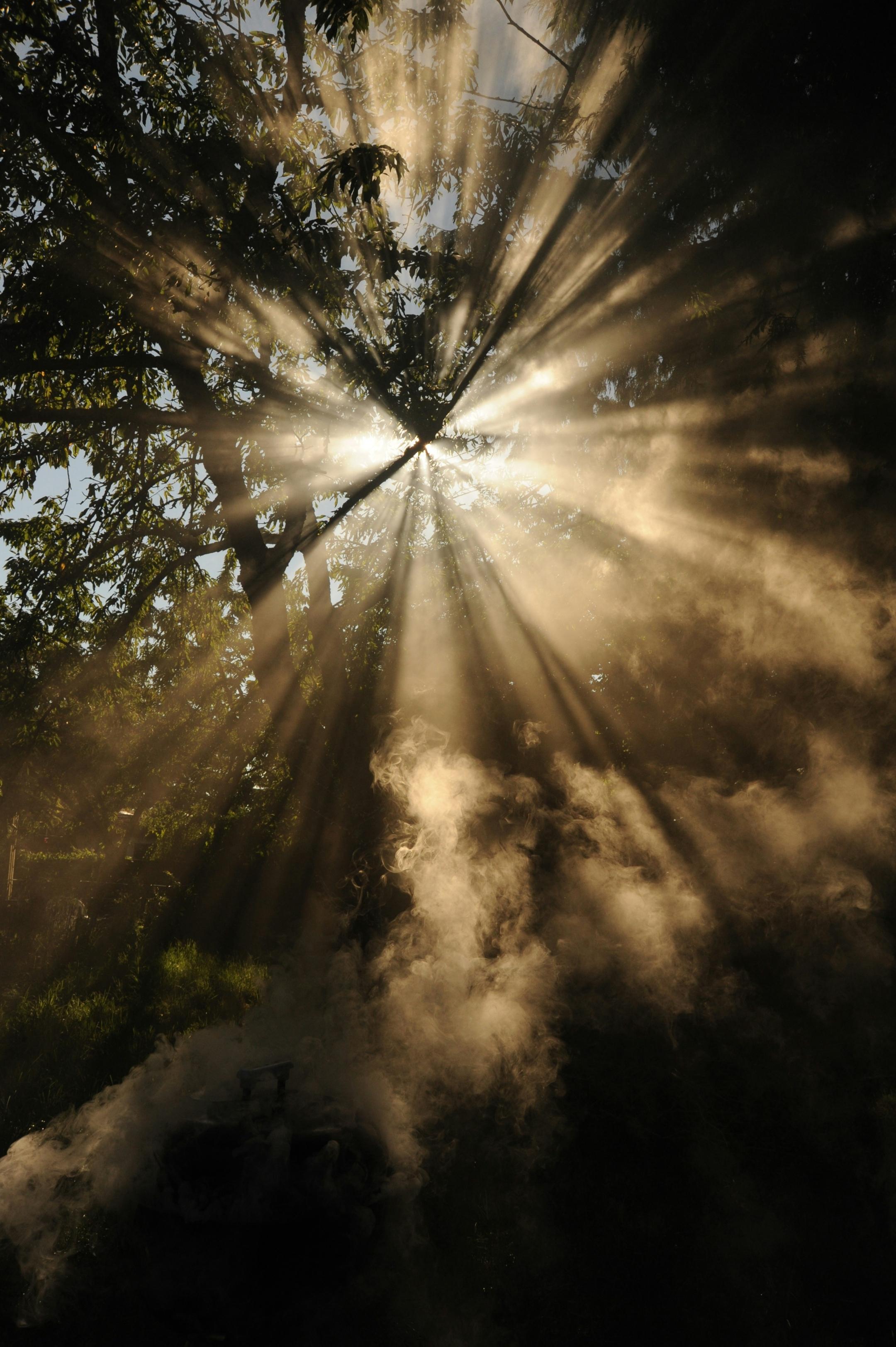 Sonnenstrahlen im Gegenlicht