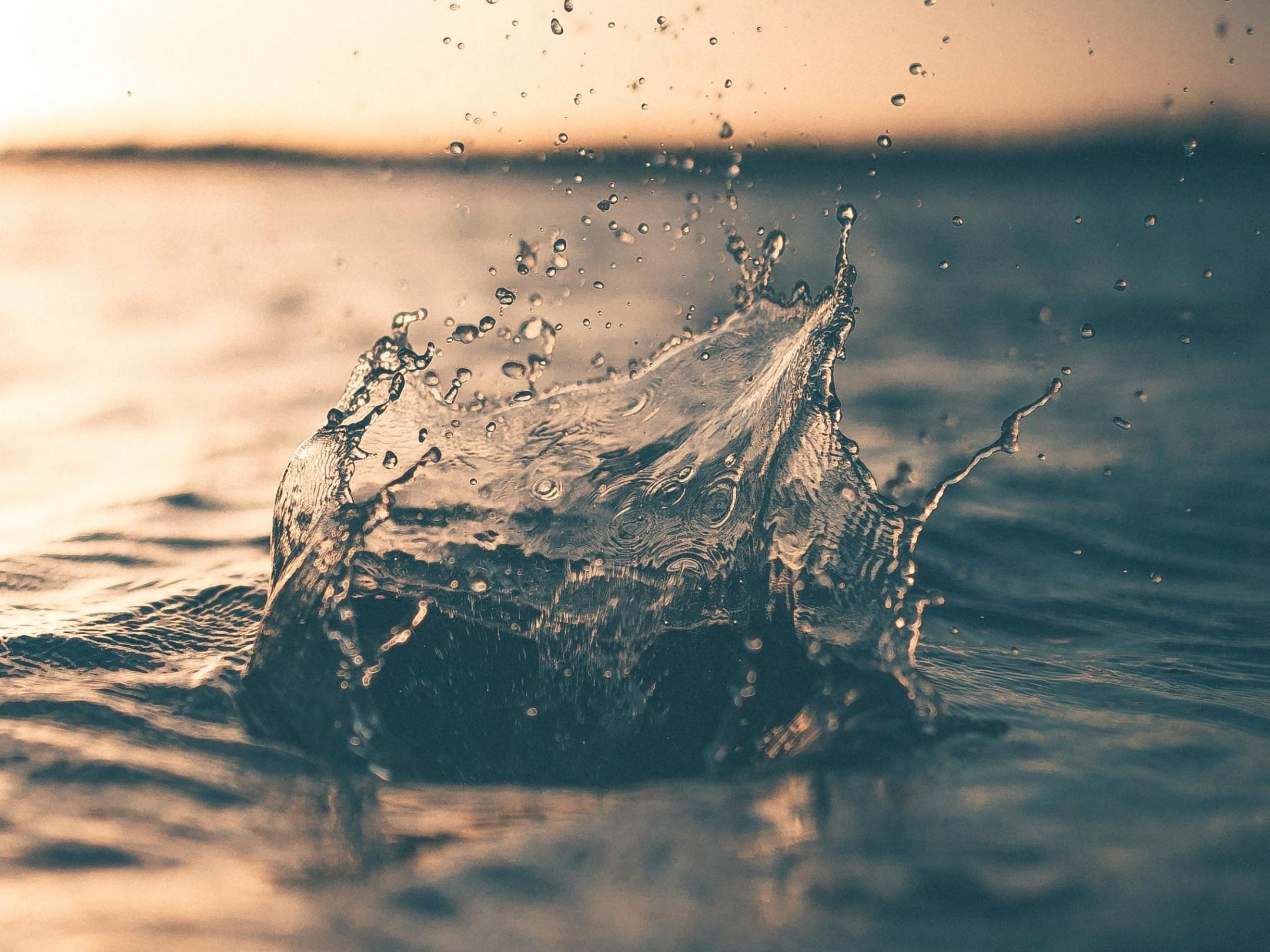 Wasser-Krone