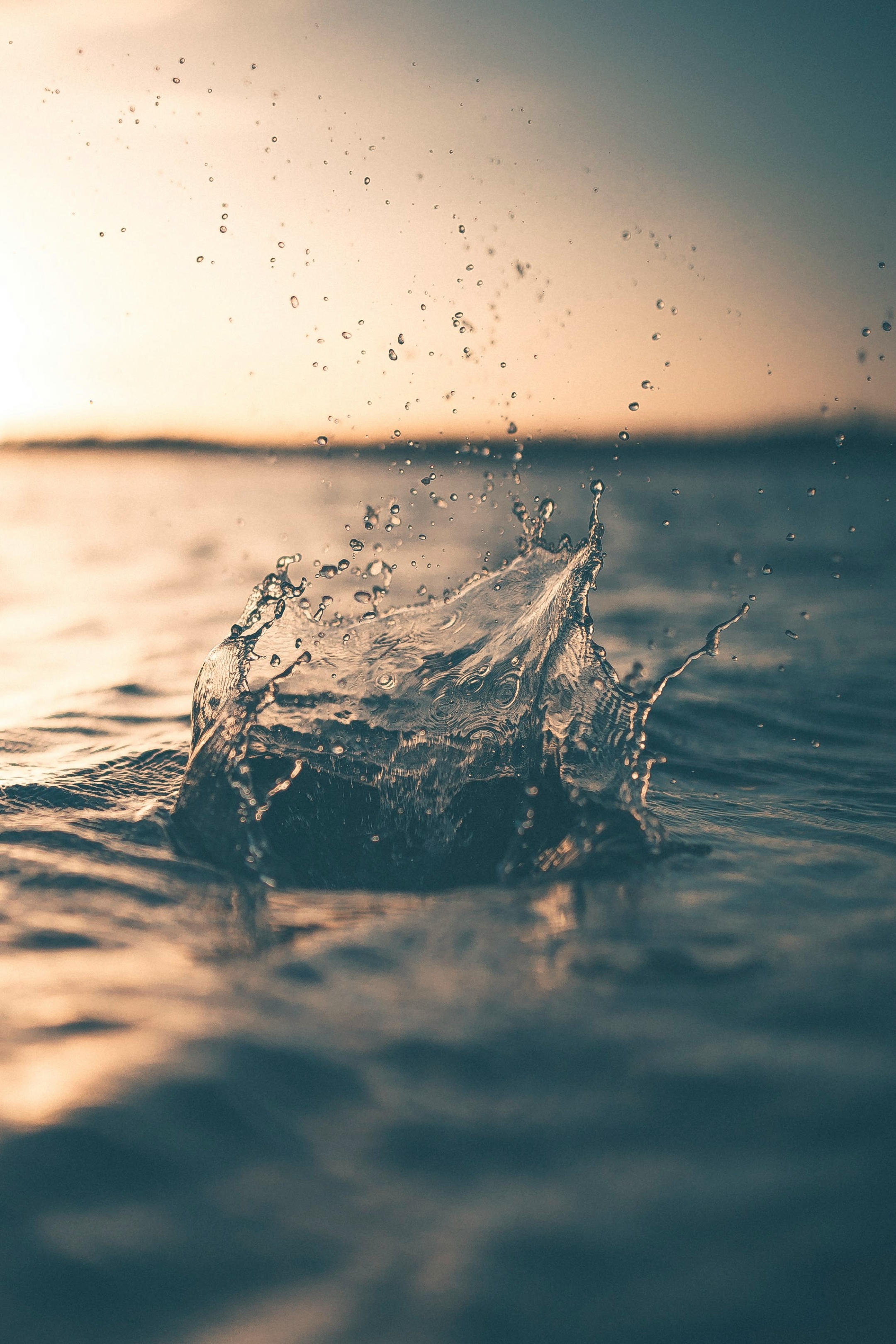 Wasser-Krone