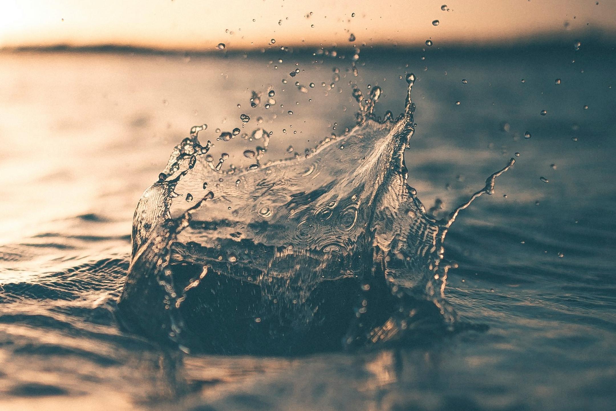 Wasser-Krone